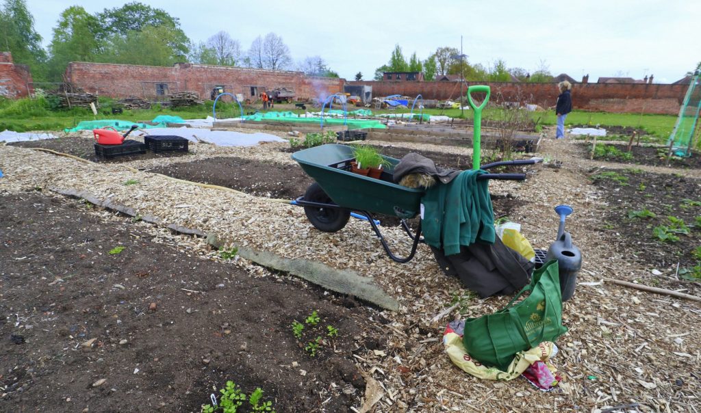 Walled Garden Sowing