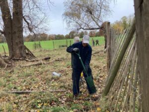Chesnut fencing repairs. 