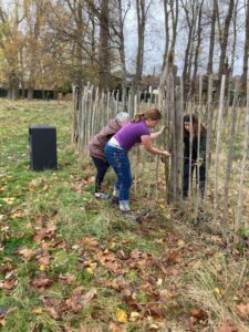 Chesnut fencing repairs. 