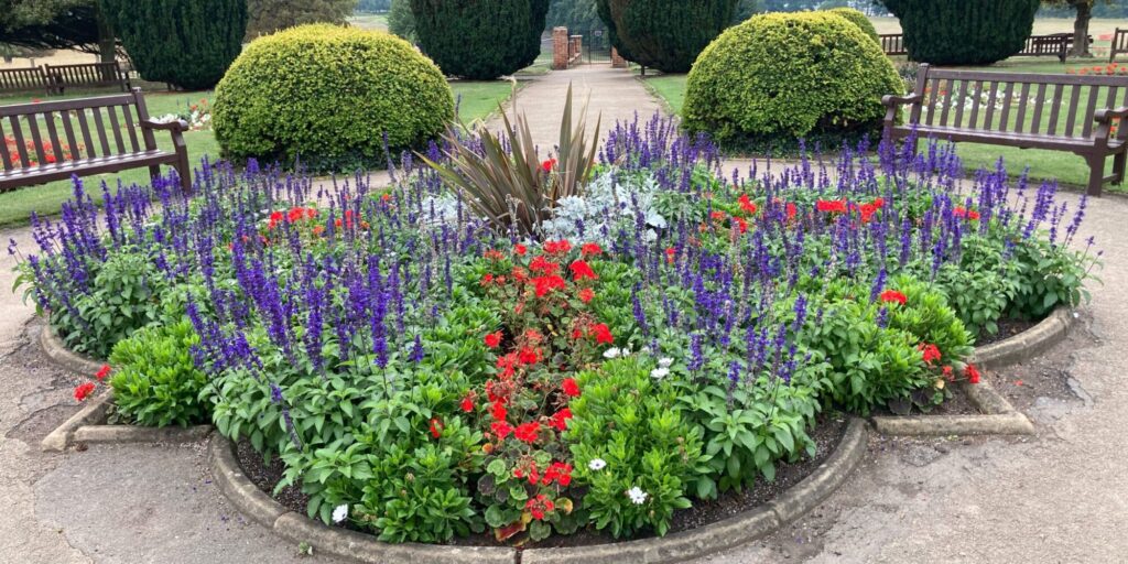 Flower Bed