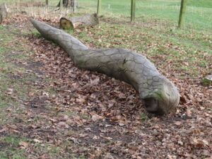 Snake Wood Carving