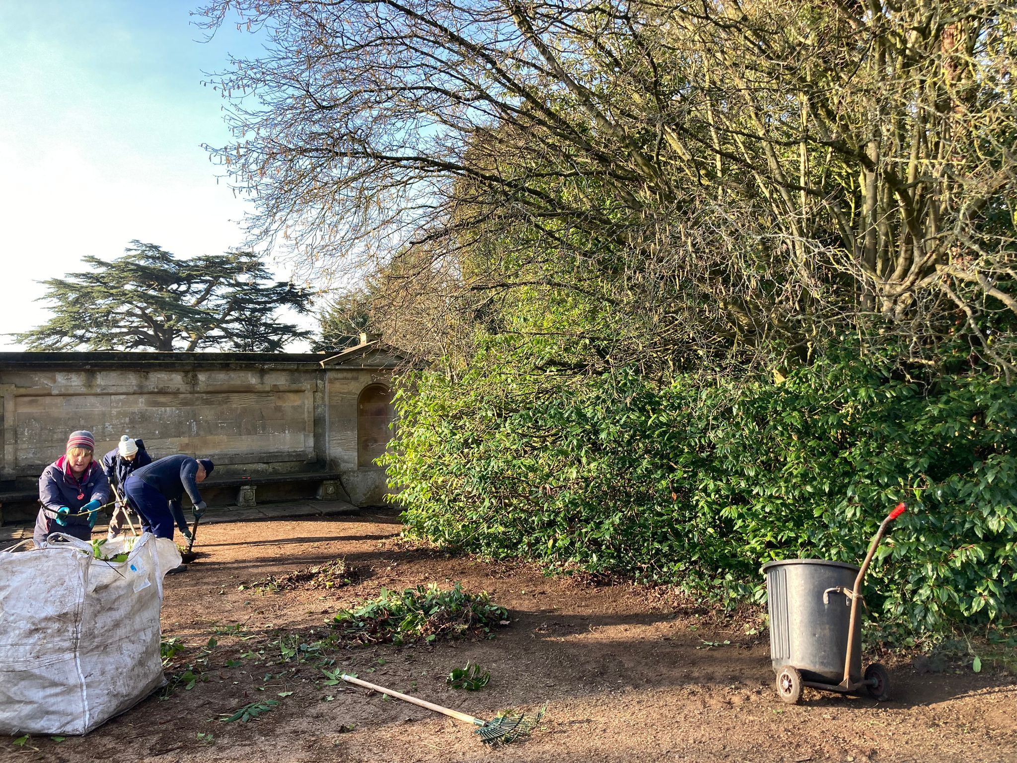 Volunteering activity