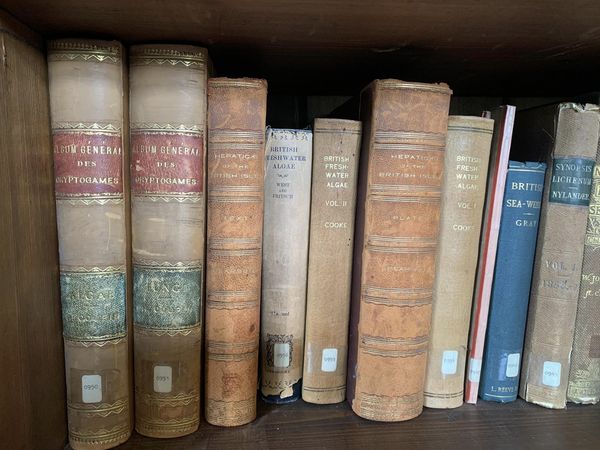 Lord Middletons Library