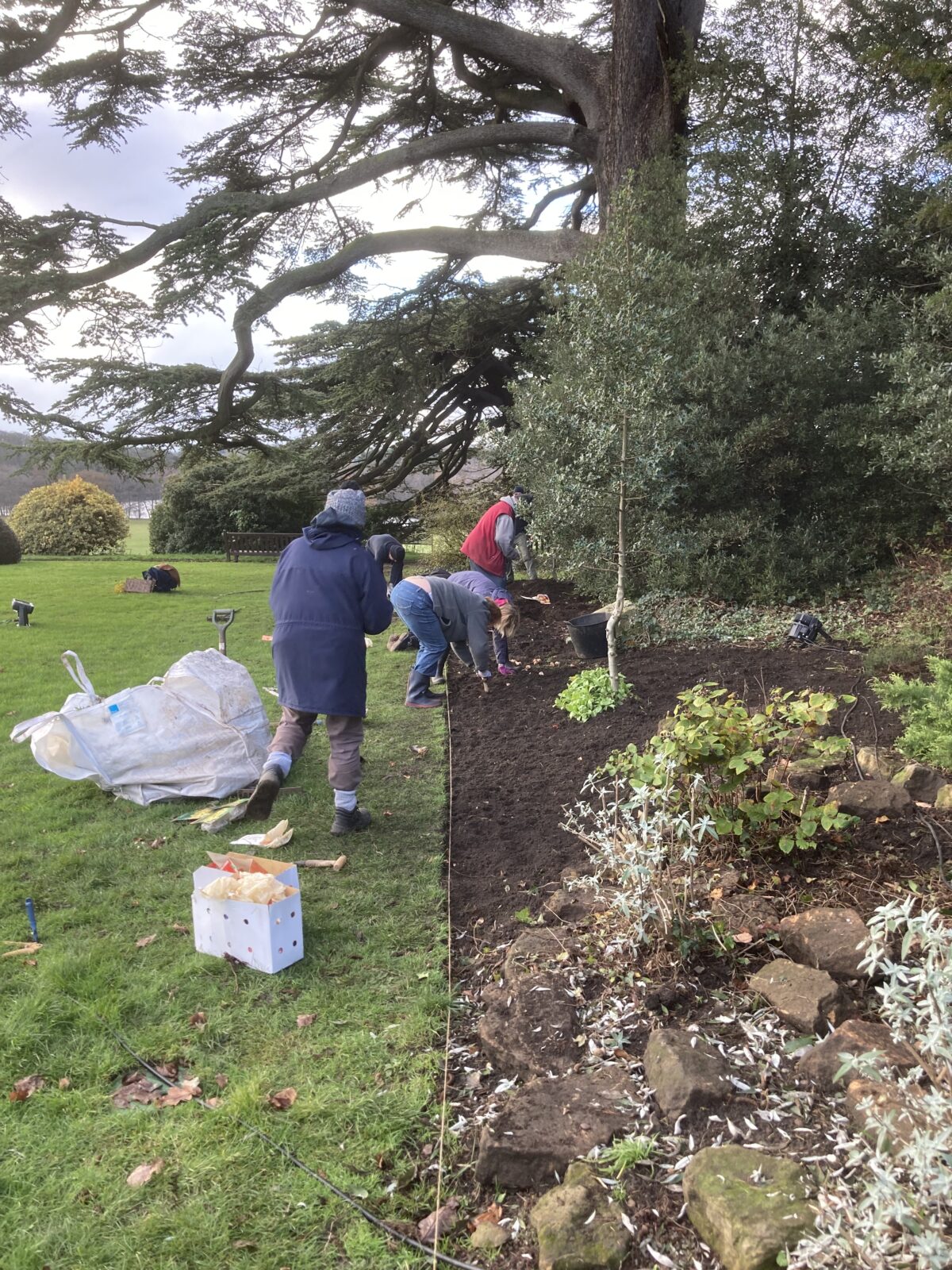 Creating a new Flower Bed, by the Rockery