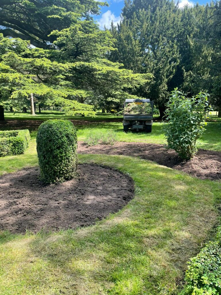 Rose Garden