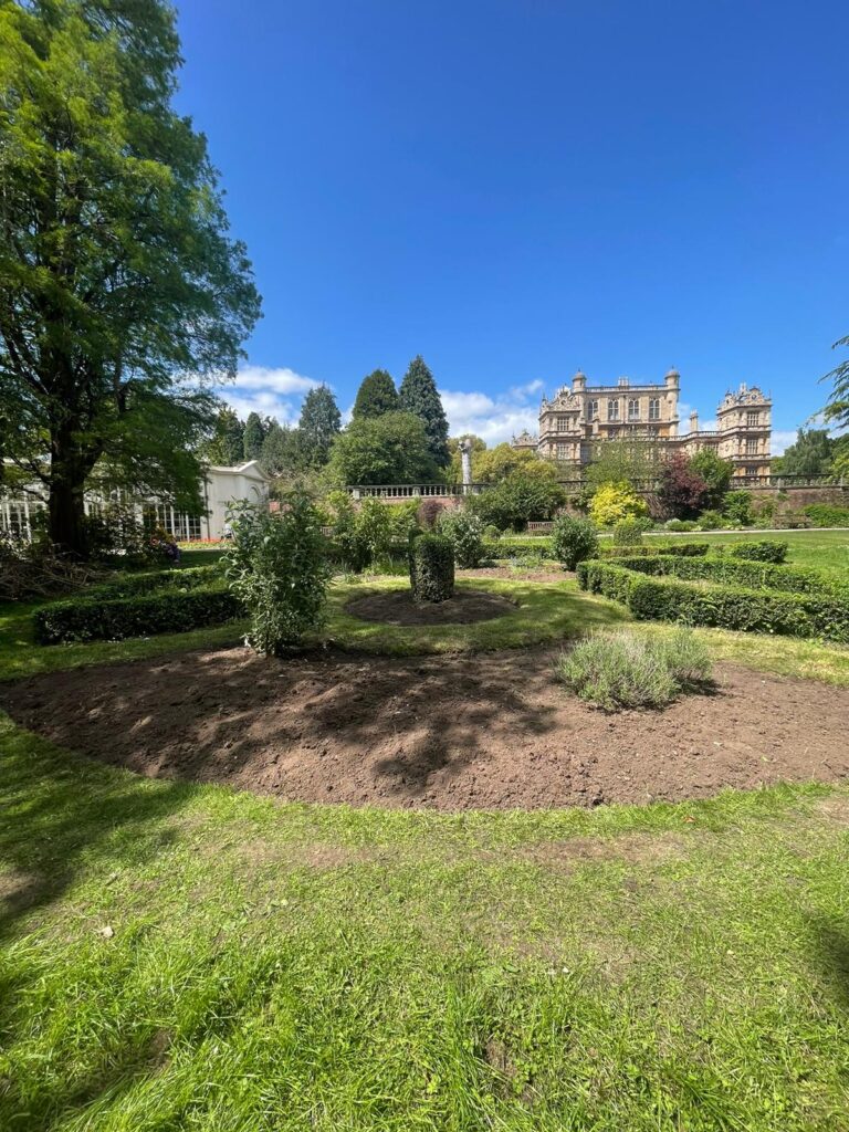Rose Garden