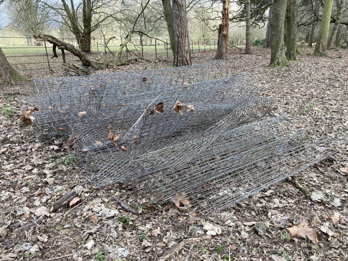 Tree Guard Removal