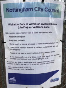 Bird Flu poster