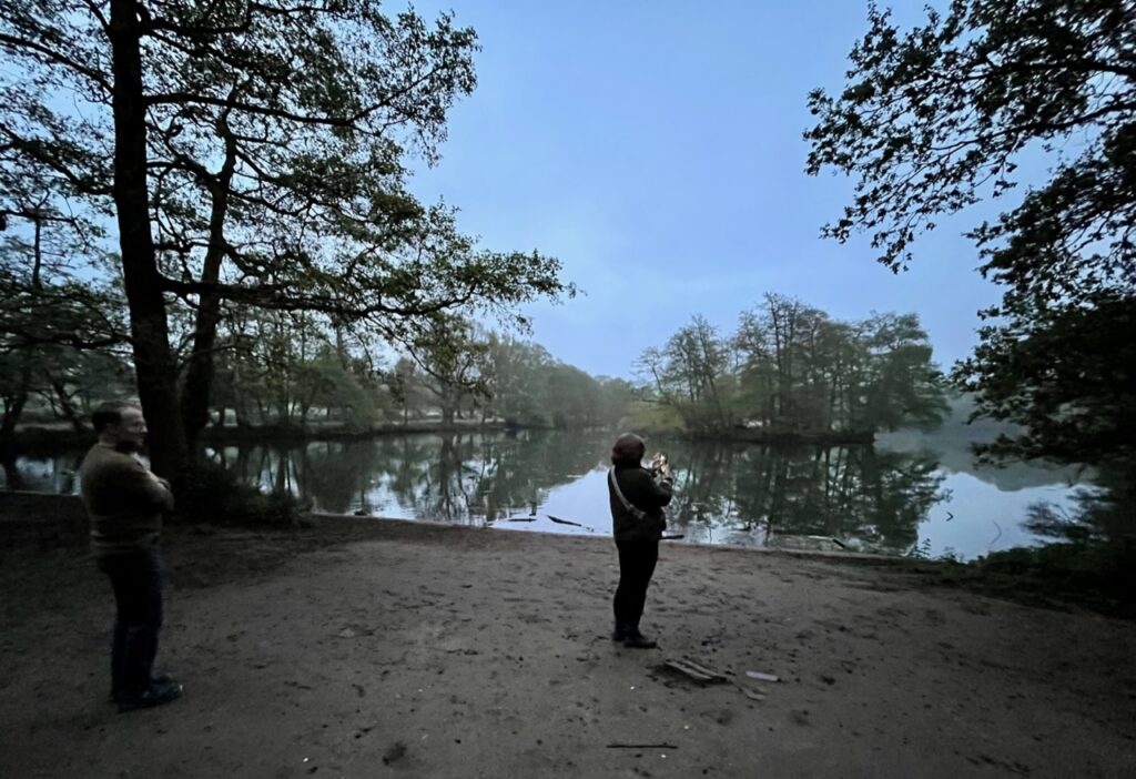 Dawn Chorus