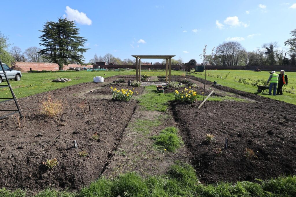 Heritage garden planting