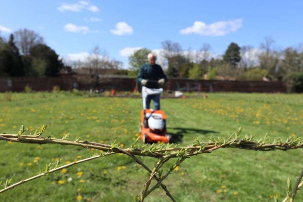 willow edging