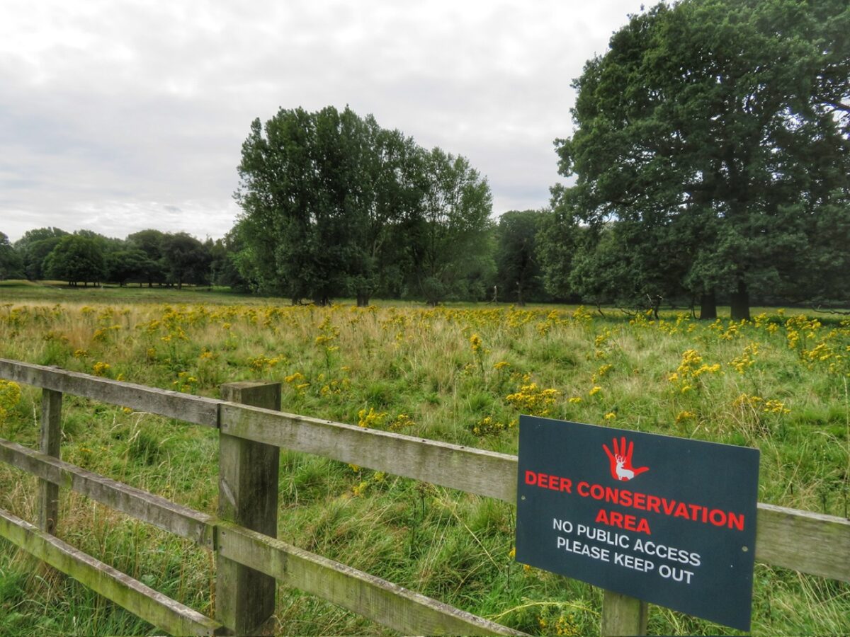 Pilkintons Paddock