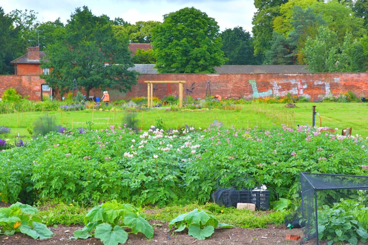 Walled Garden Open Days