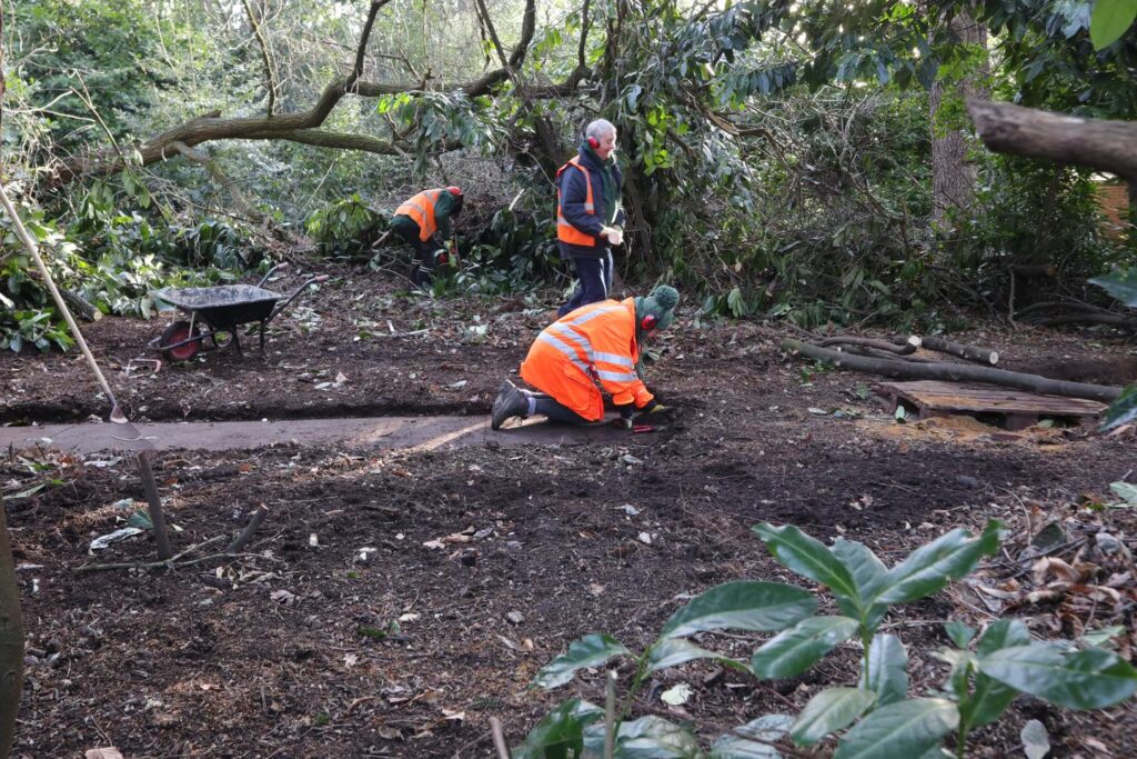 clearing path and undergrowth