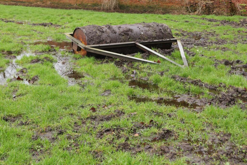 garden roller in swapy field