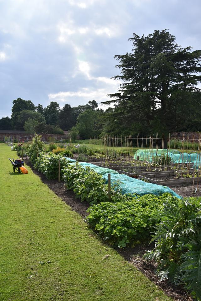 The ‘secret’ Nottingham walled garden given a glow-up that people ‘cannot believe’