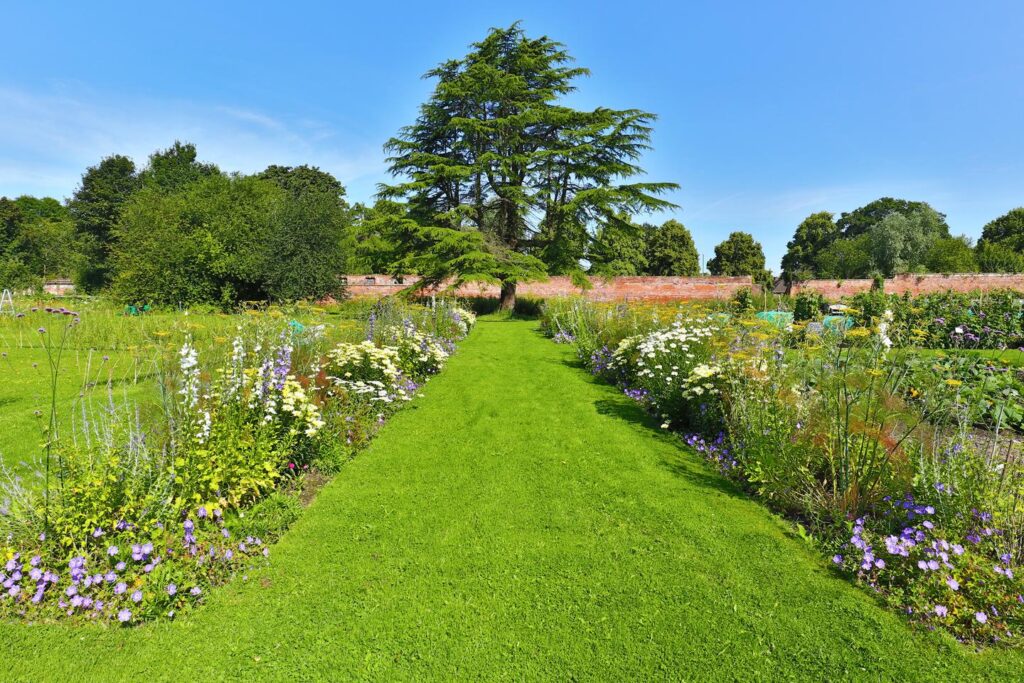 walled garden cedar