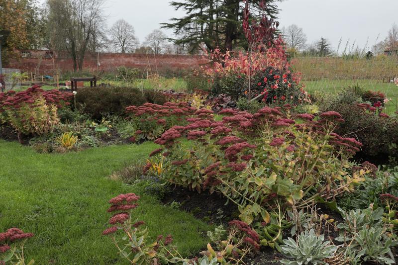 heritage garden