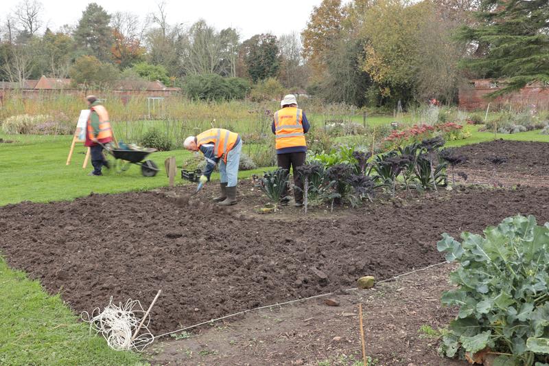 autumn digging