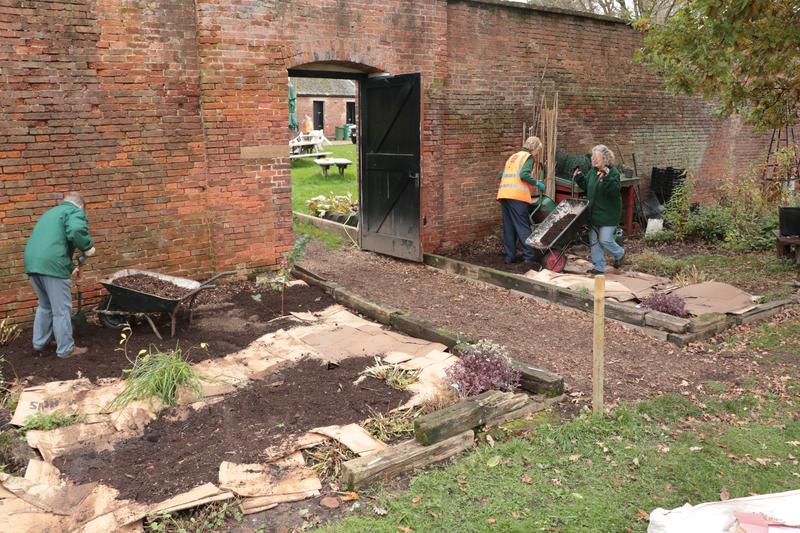 weeding and clearing