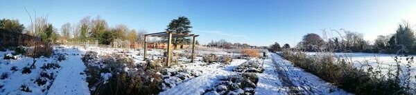 snow