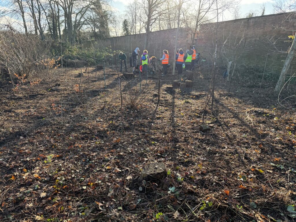 50 trees planted, time to pack up