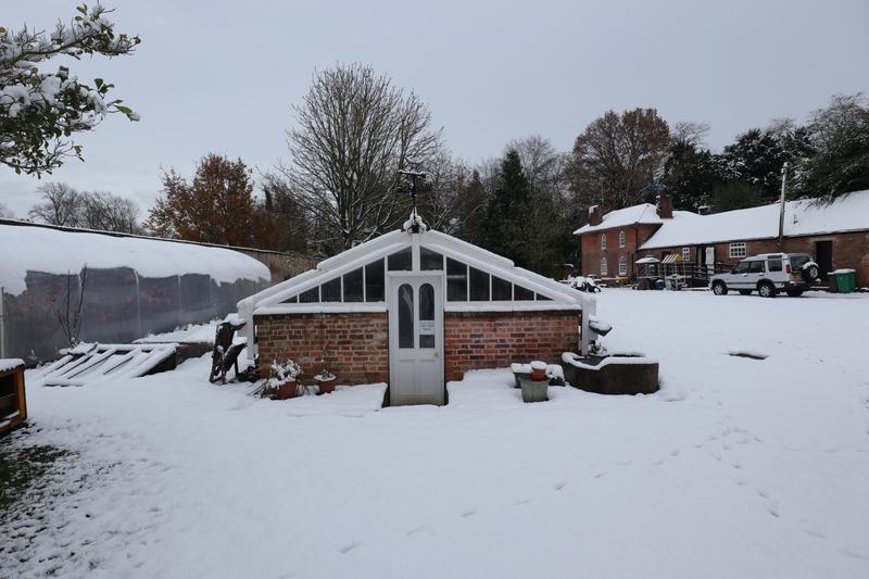 snowy cucumber house 