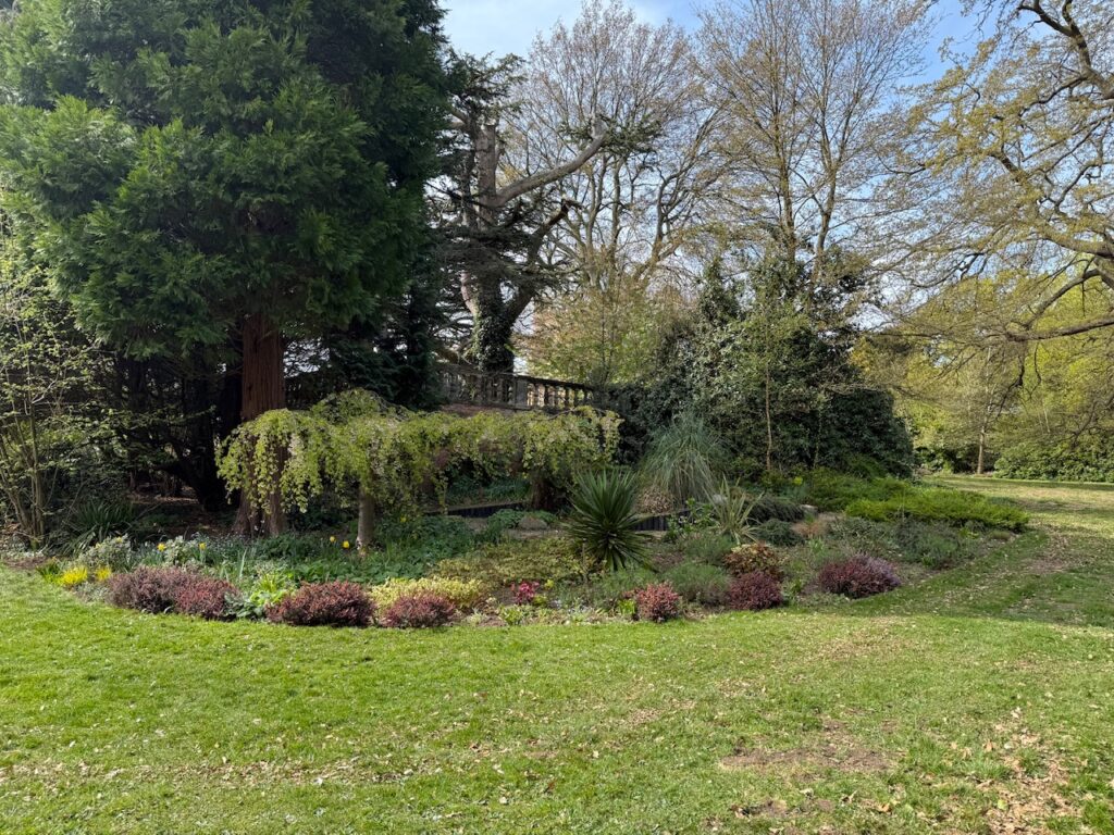 Low-water garden