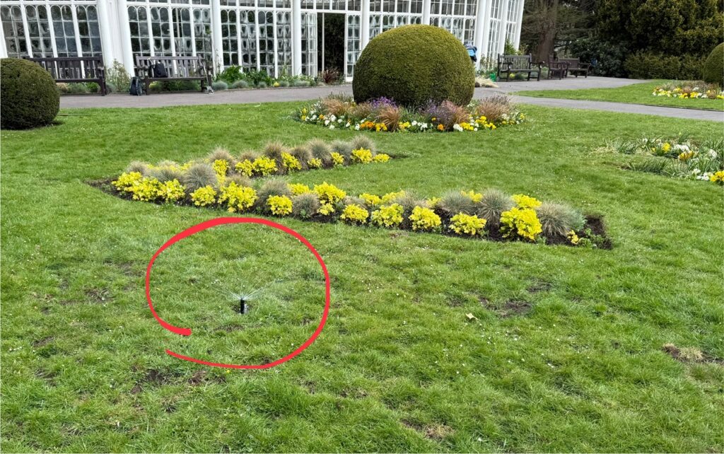 Sprinkler Head in Lawn