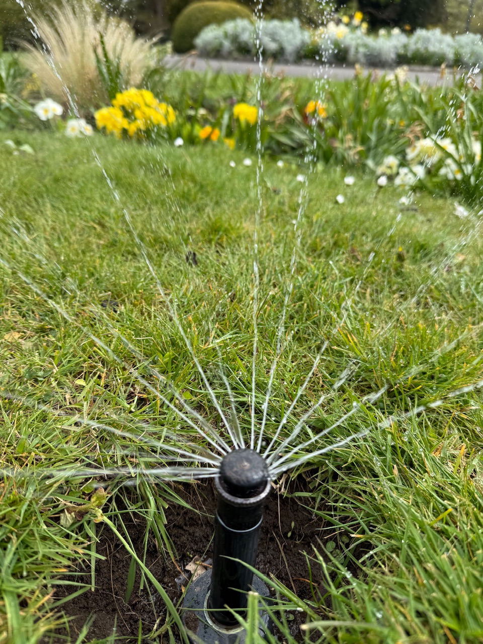 Sprinkler Head