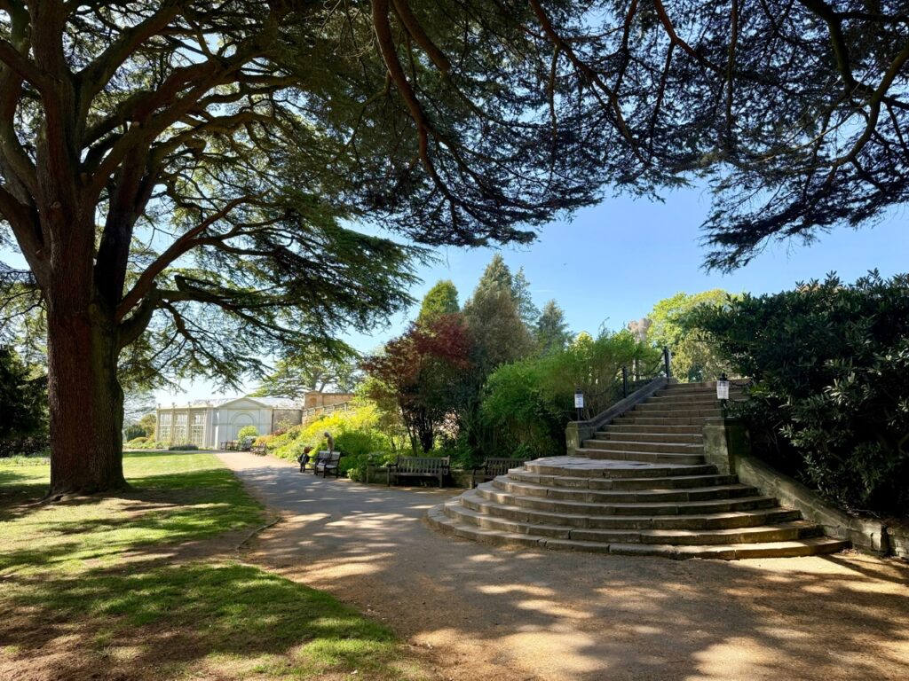 Balustrade and Steps