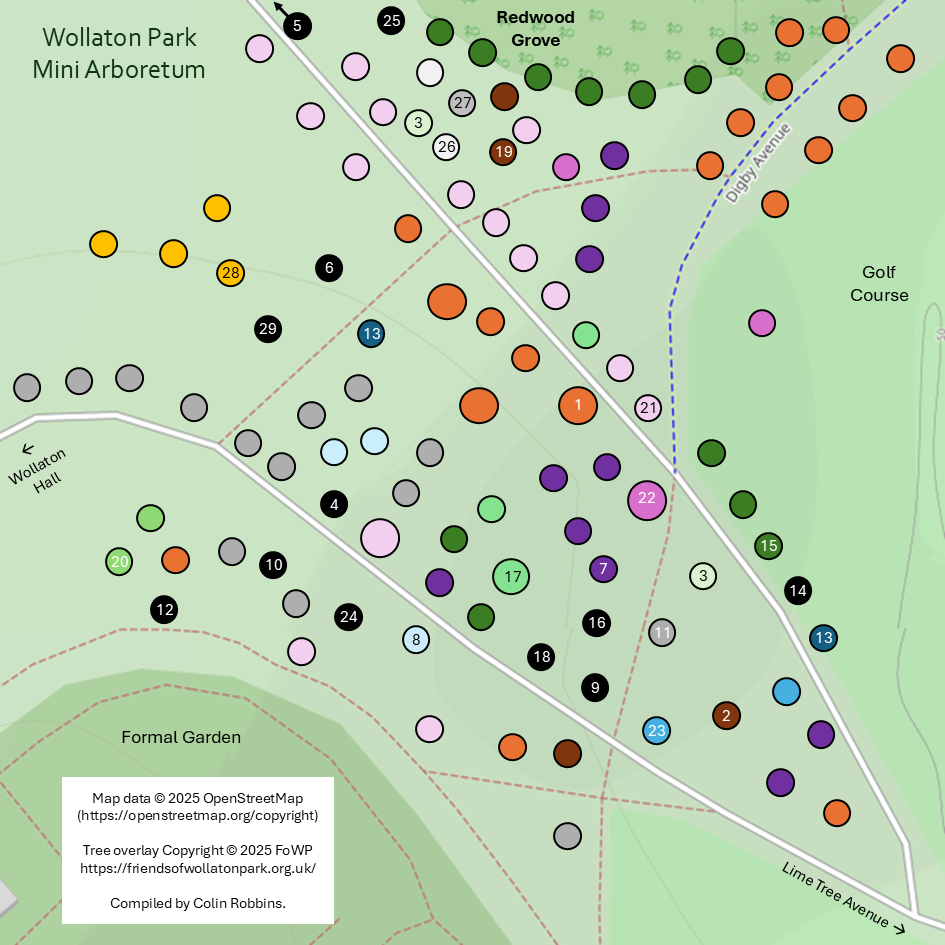 Wollaton Park Mini Arboretum