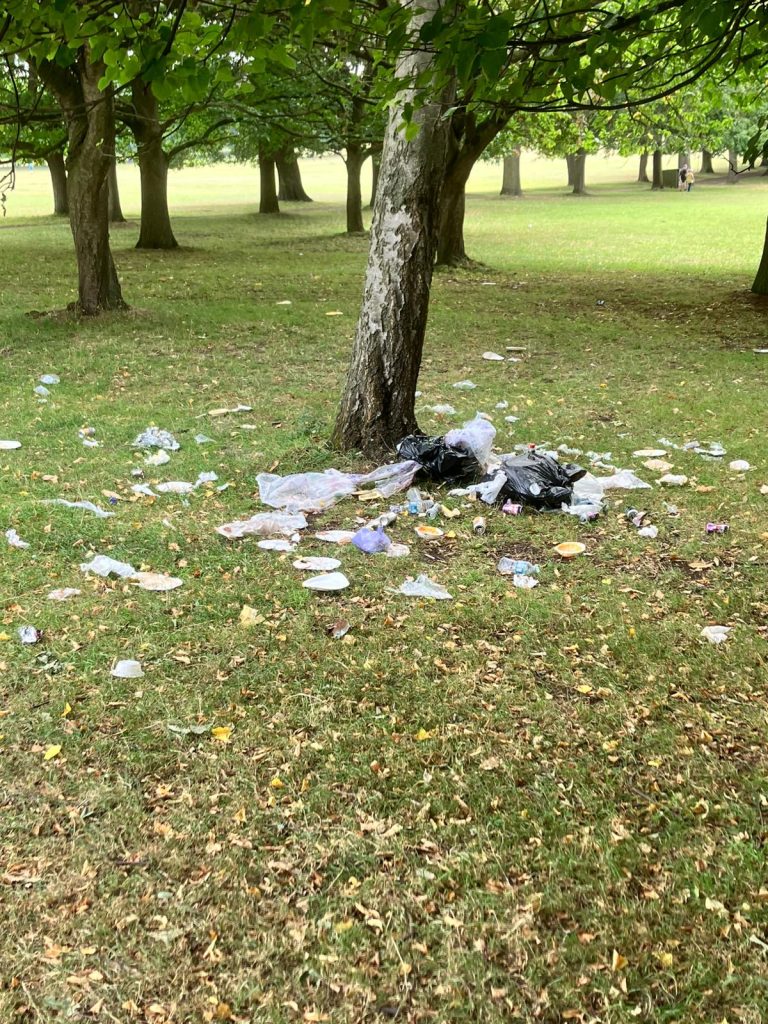 Rubbish in the park