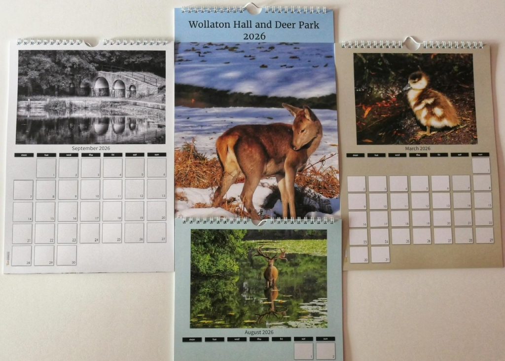 2026 Calendar
