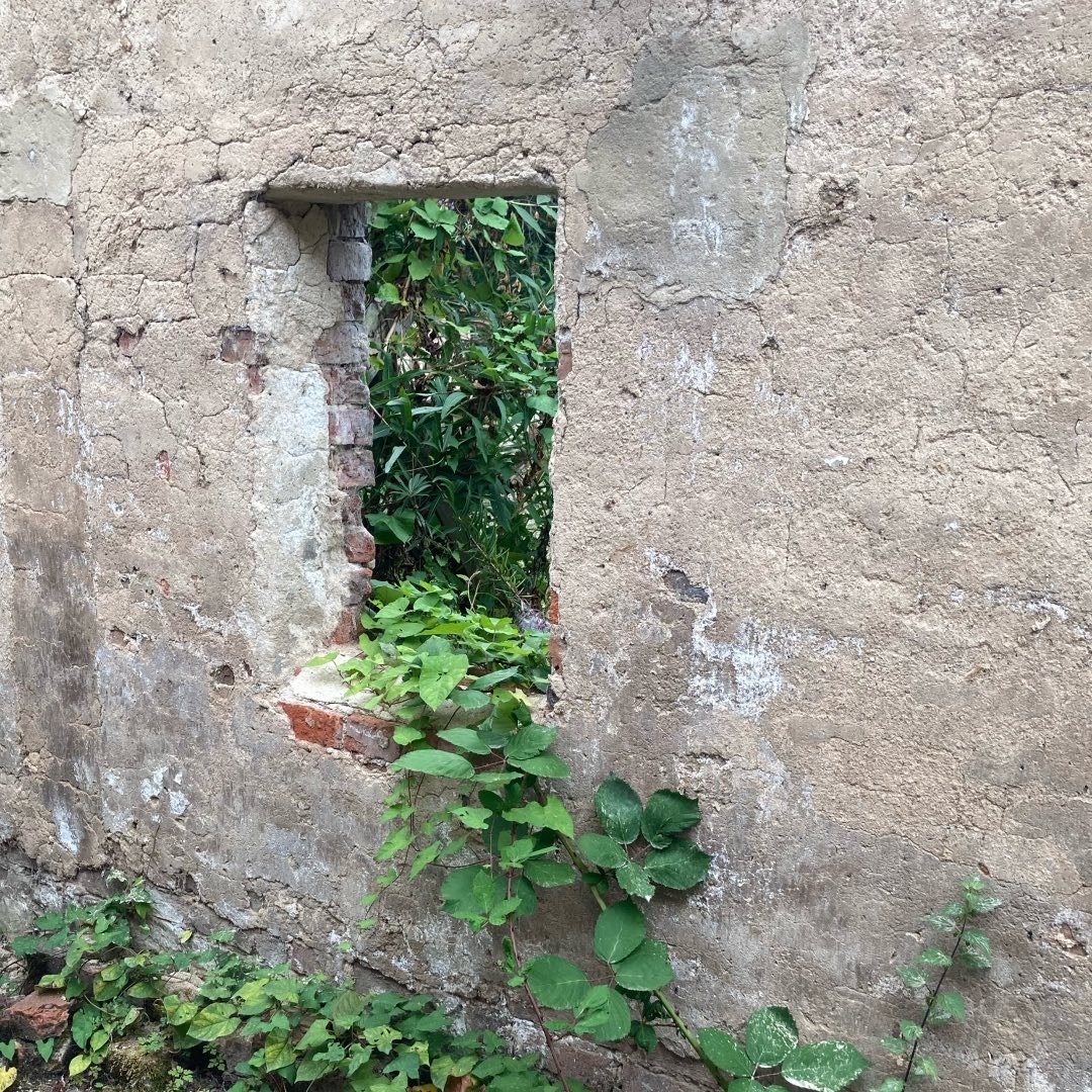 Walled Garden Artist Residency