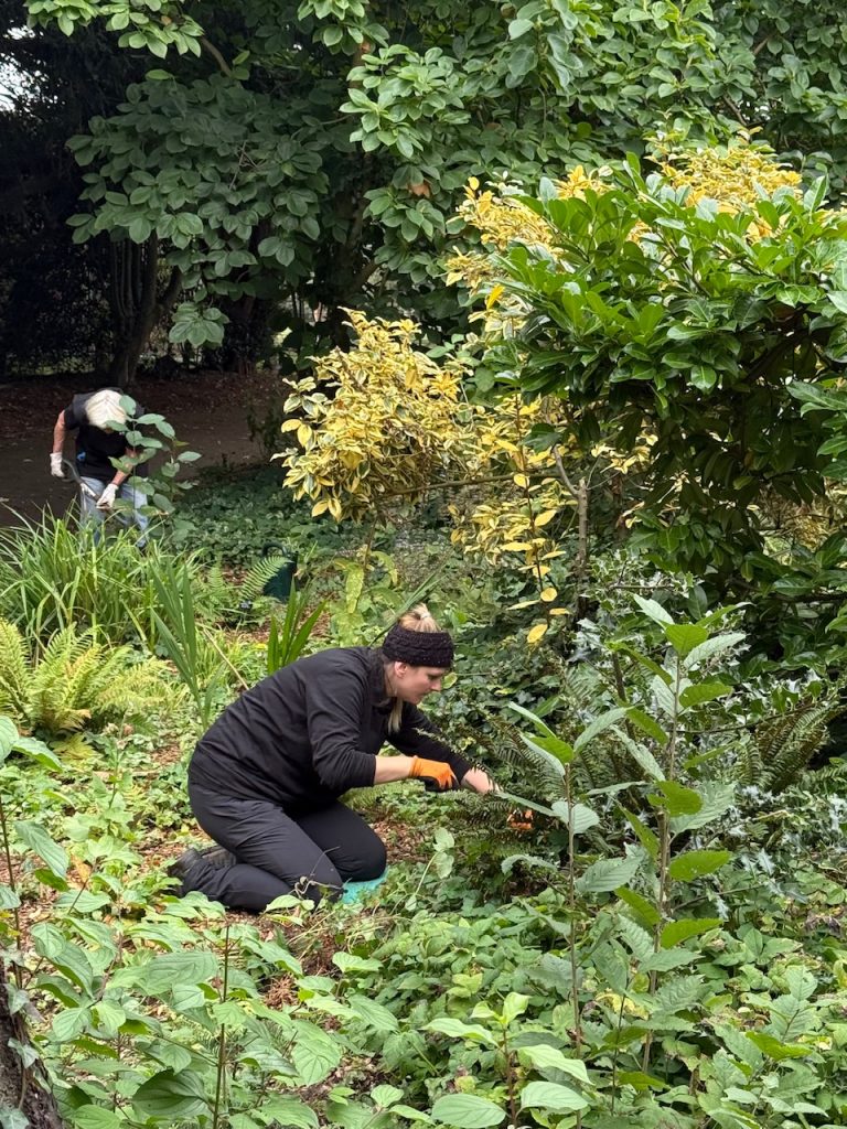 Sensory Garden Volunteers