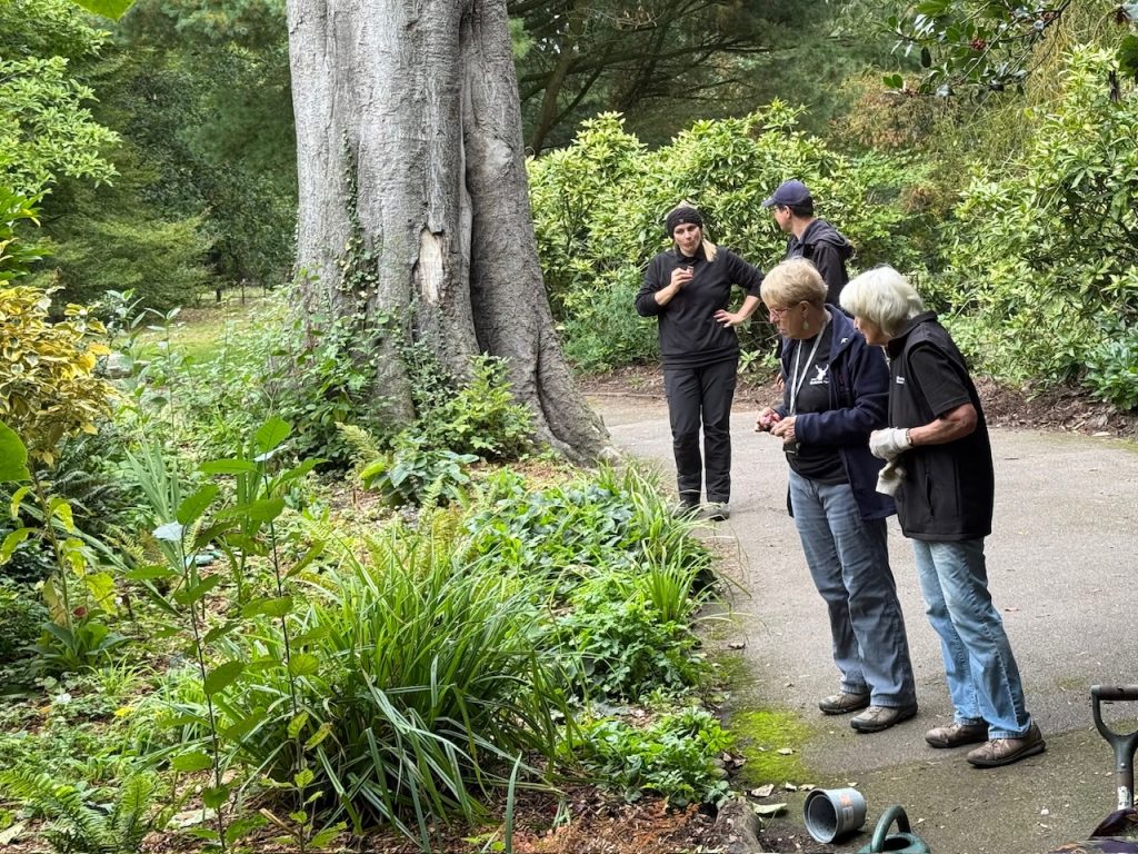 Sensory Garden Volunteers