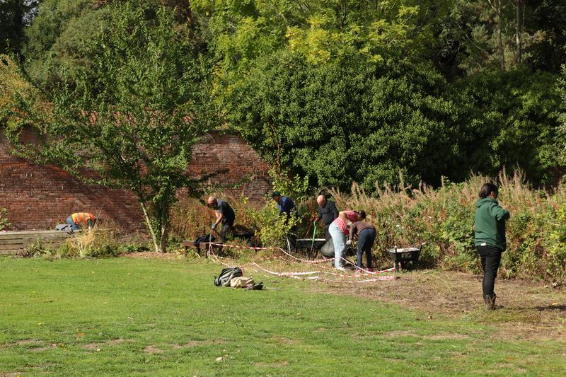 corporate volunteers