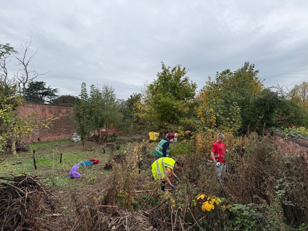 Tree nursery volunteers