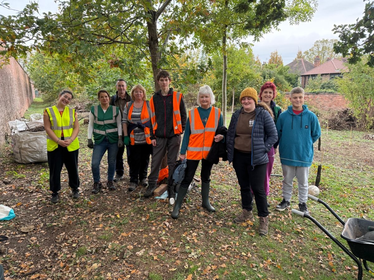 Tree nursery volunteers