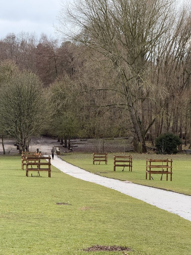 Trees planted on Jubilee Avenue.