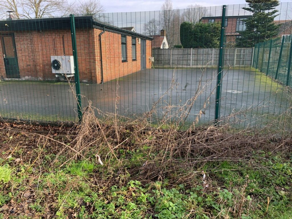 Trees for Climate programme after