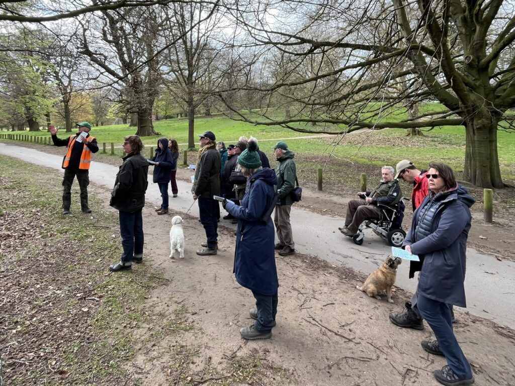 Walking in the arboretum