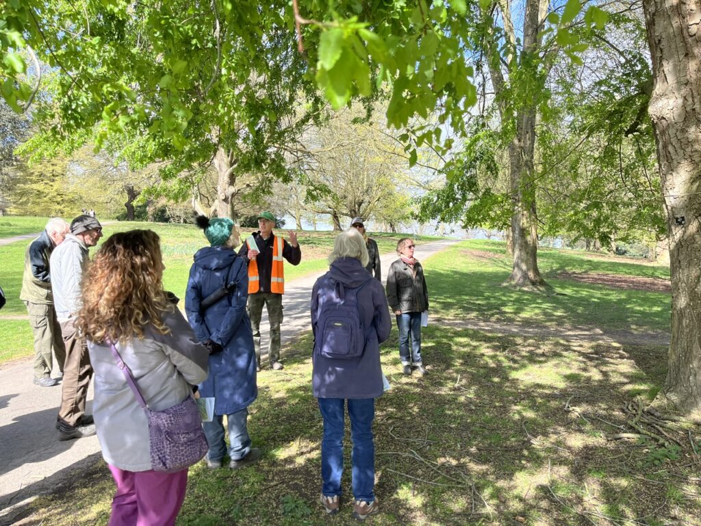 Walking in the arboretum