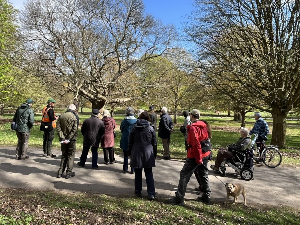 Walking in the arboretum