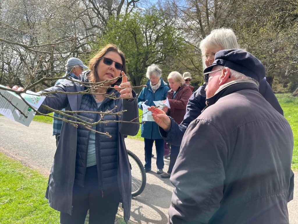 Walking in the arboretum