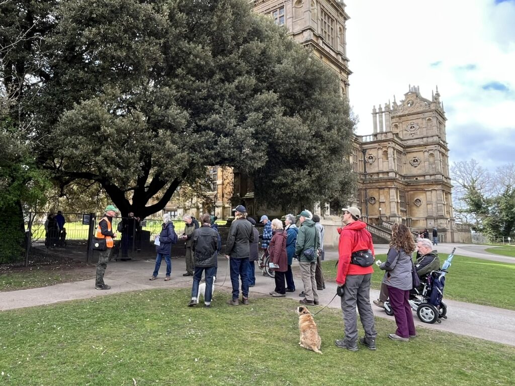 Gathering by the Holm Oak